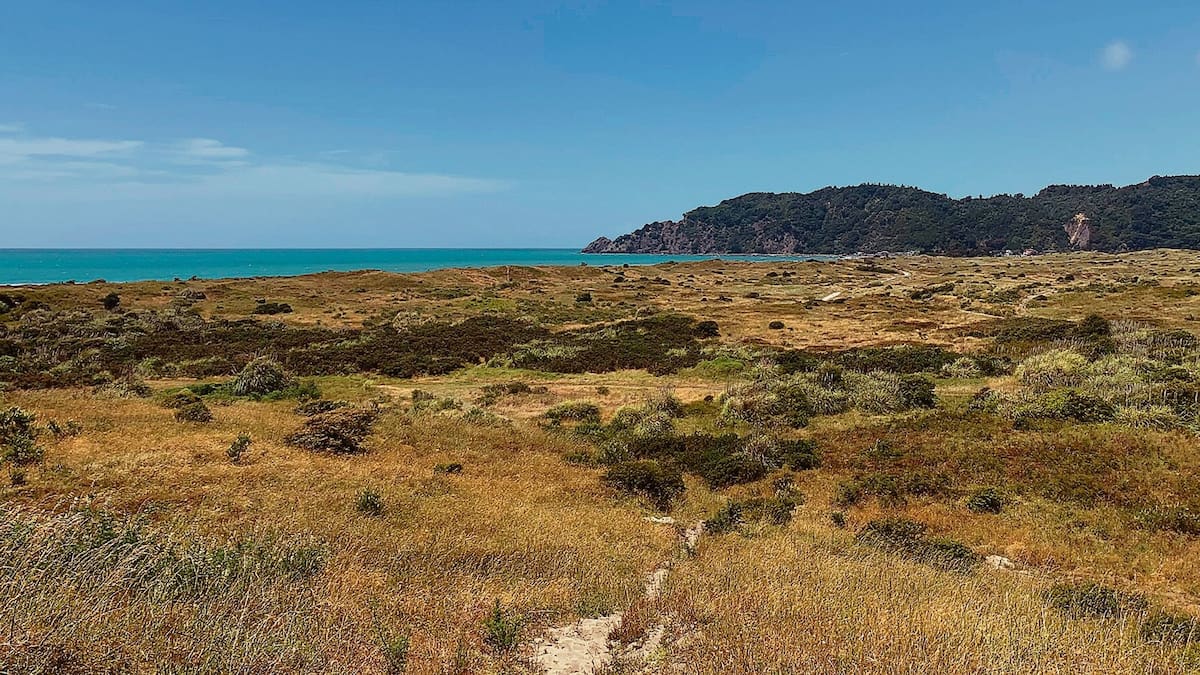 Environment Court weighs clash between BOP burial site claims and coastal development