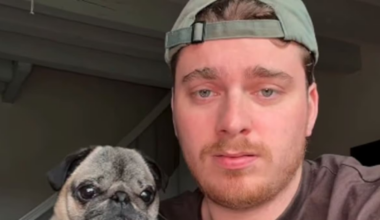 French influencer admits faking dog-kidnapping prank for ‘entertainment’