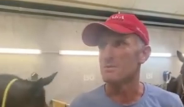 Waikato horse trainer Ival Brownlee banned for 18 months after winning horse tests positive for meth