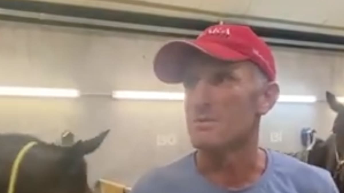 Waikato horse trainer Ival Brownlee banned for 18 months after winning horse tests positive for meth