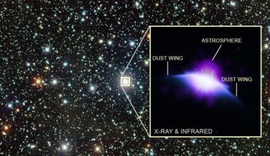 A starry section of space. One star is enlarged in a boxout that shows a purple disk-shape resembling a moth's winds. The purple figure is labeled: The wings are each called dust wings and a spherical light over it all is called the astrosphere.