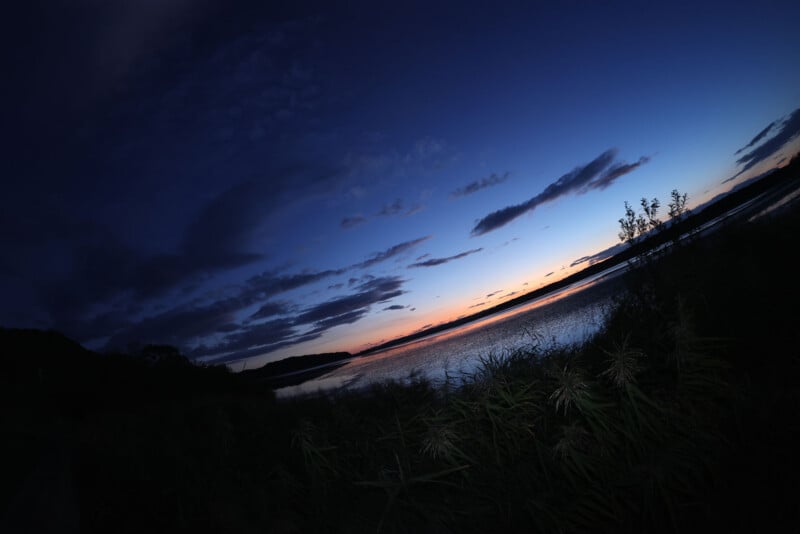 A dramatic fisheye view of a lakeside at dusk, with deep blue sky, scattered clouds, and a strip of orange sunset on the horizon. Tall grass and reeds are silhouetted in the foreground.