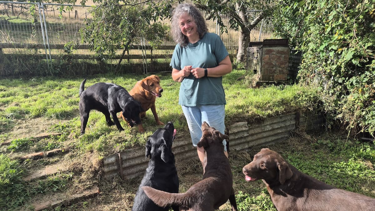 On The Up: Farm owner offers Dannevirke dog owners a safe, private off-leash haven at ‘Stream Explorer’