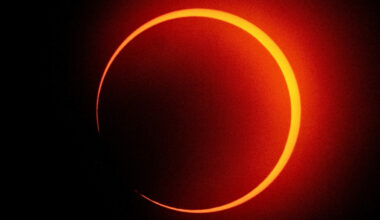 Antarctica Will See a Rare 'Ring of Fire' Solar Eclipse This Week : ScienceAlert