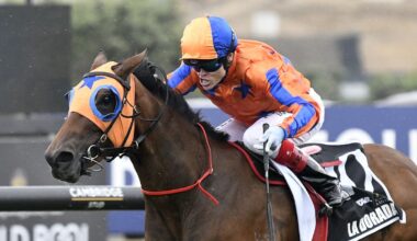 La Dorada becomes the People’s Horse for NZ’s richest-ever race, the $4m NZB Kiwi at Ellerslie