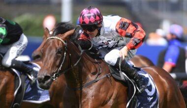 Ohope can win but competition steps up a level in Ellis Classic