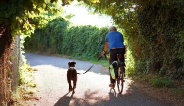 2FN4E6Y Man cycling on a country road with his dog on a leash. Backview of a man who riding with his dog that running next to him. Healthy lifestyle.