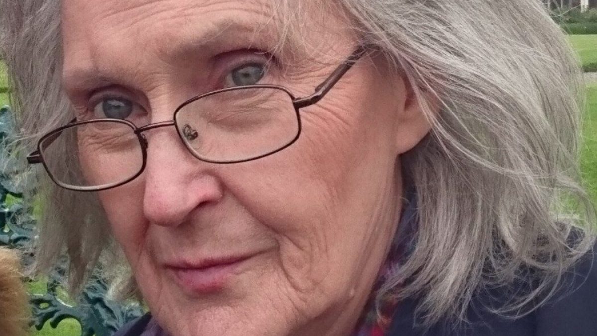 Pensioners threaten to stop paying BBC licence fee if TV goes online only