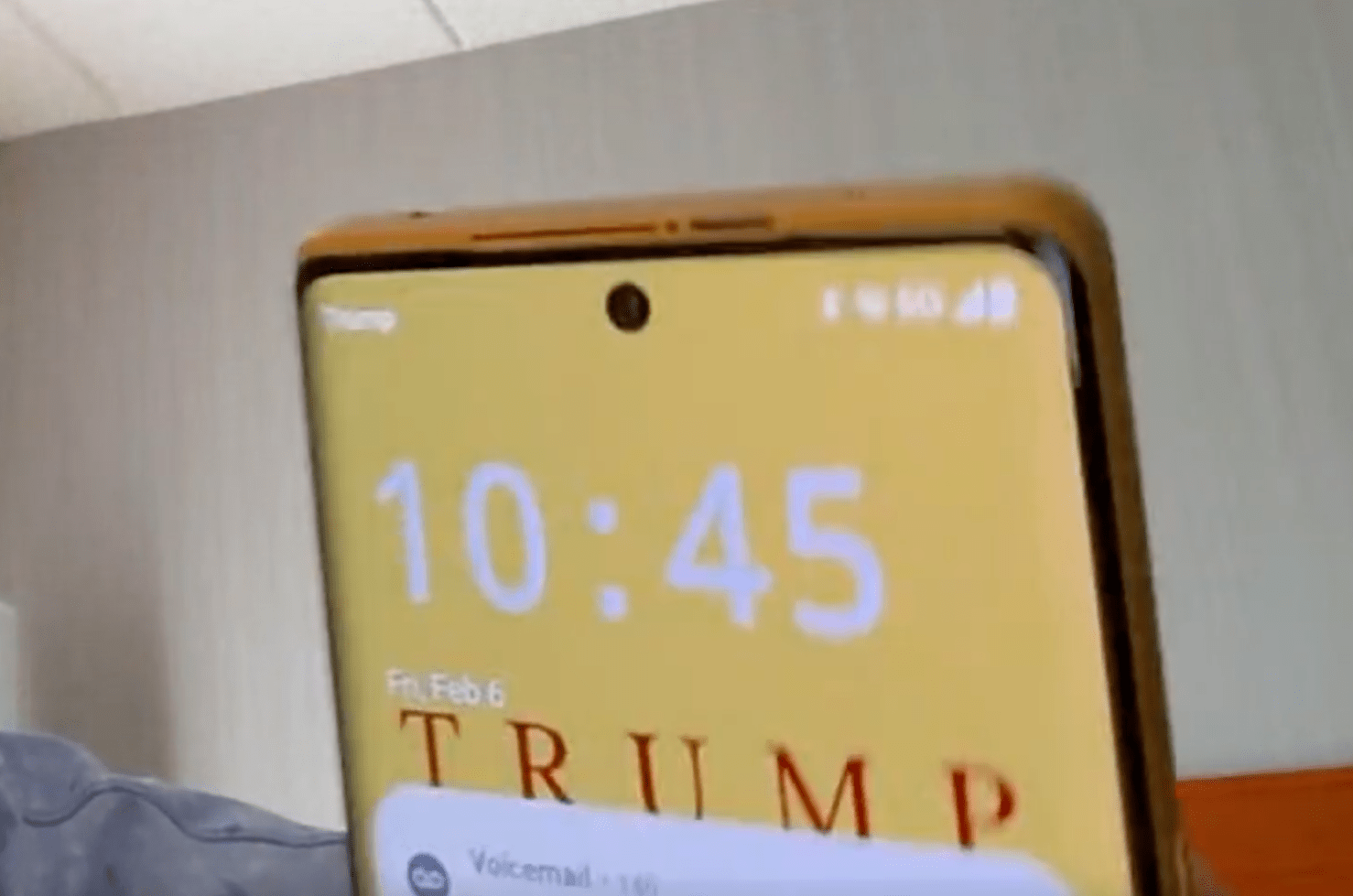 Screenshot of Trump phone on a video call