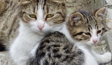 Love in the Time of Deadlines