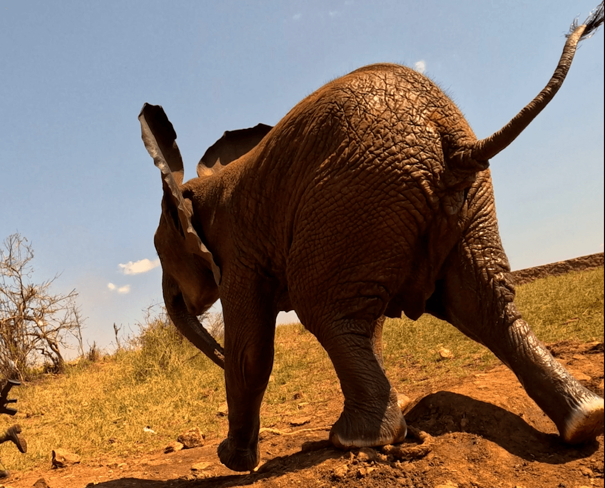 "My heart sank. I could see how helpless the mother looked, and I could only imagine how frightened and exhausted her baby must have been"