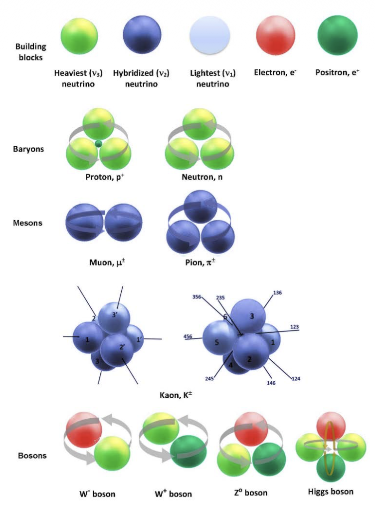 Figure 2. The elementary particles of the Rotating Lepton Model (RLM). (top line) and the RLM structures and composition of baryons, muon, mesons and bosons [18].