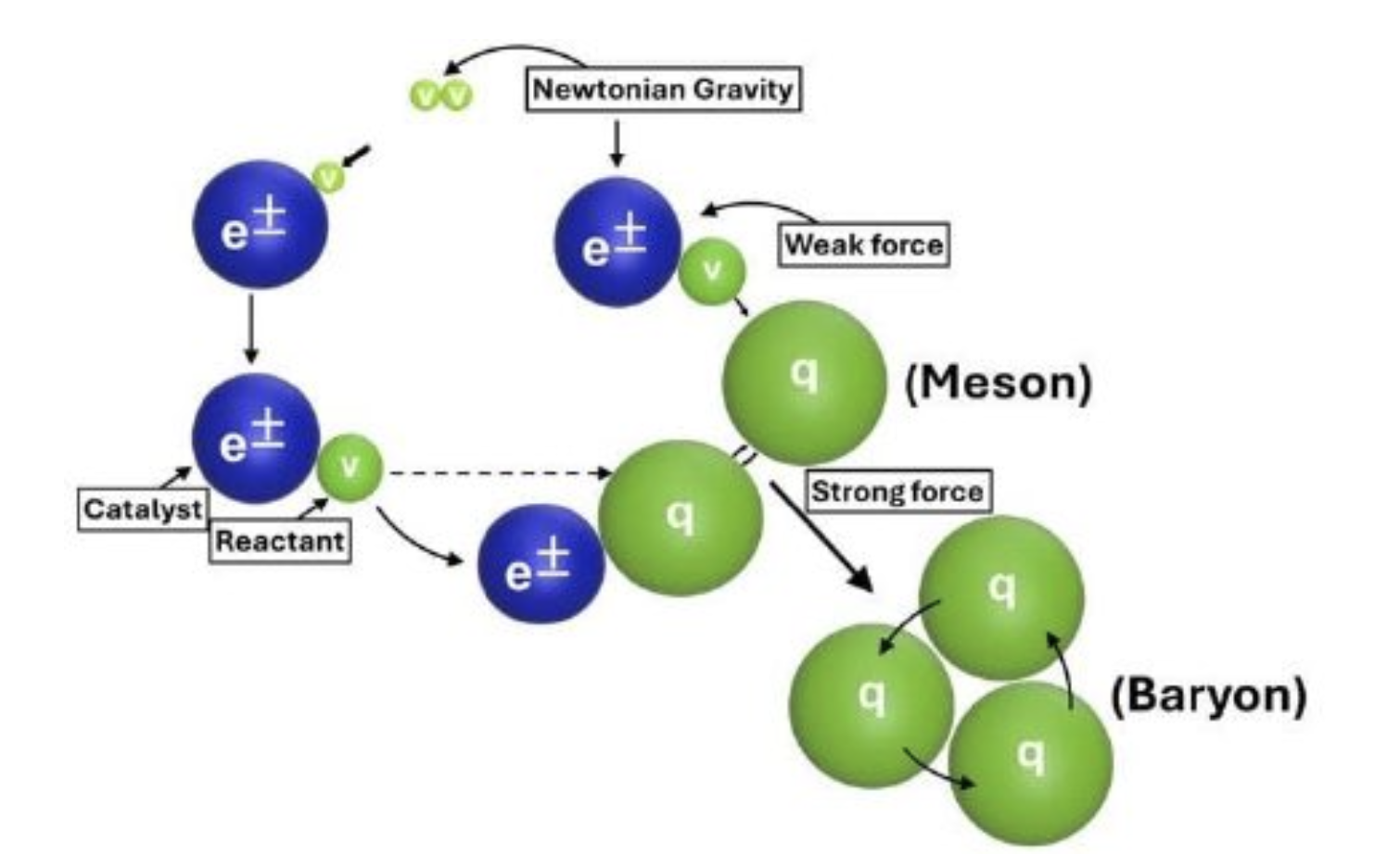 Figure 4: The catalytic role of electrons and/or positrons in neutrino hadronization: Neutrinos get attracted gravitationally by positrons or electrons and their masses increase dramatically due to the large rotational speed thus forming quarks; the resulting rotating three quark structures comprise a proton or antiproton. If the electron/positron leaves, then a neutron has been formed.