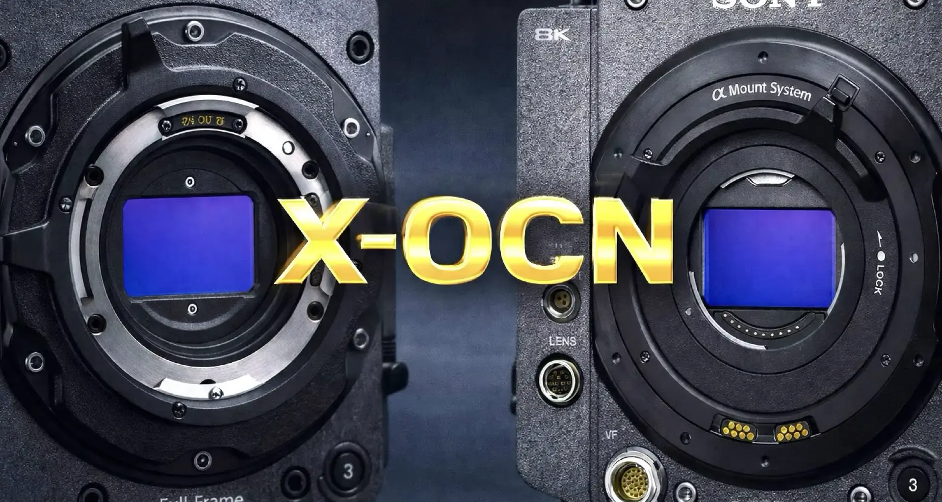 Sony Cine Elite Codec: The 16-Bit Engine Behind VENICE and BURANO