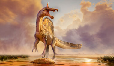 ‘Hell-heron’ dinosaur discovered in the central Sahara