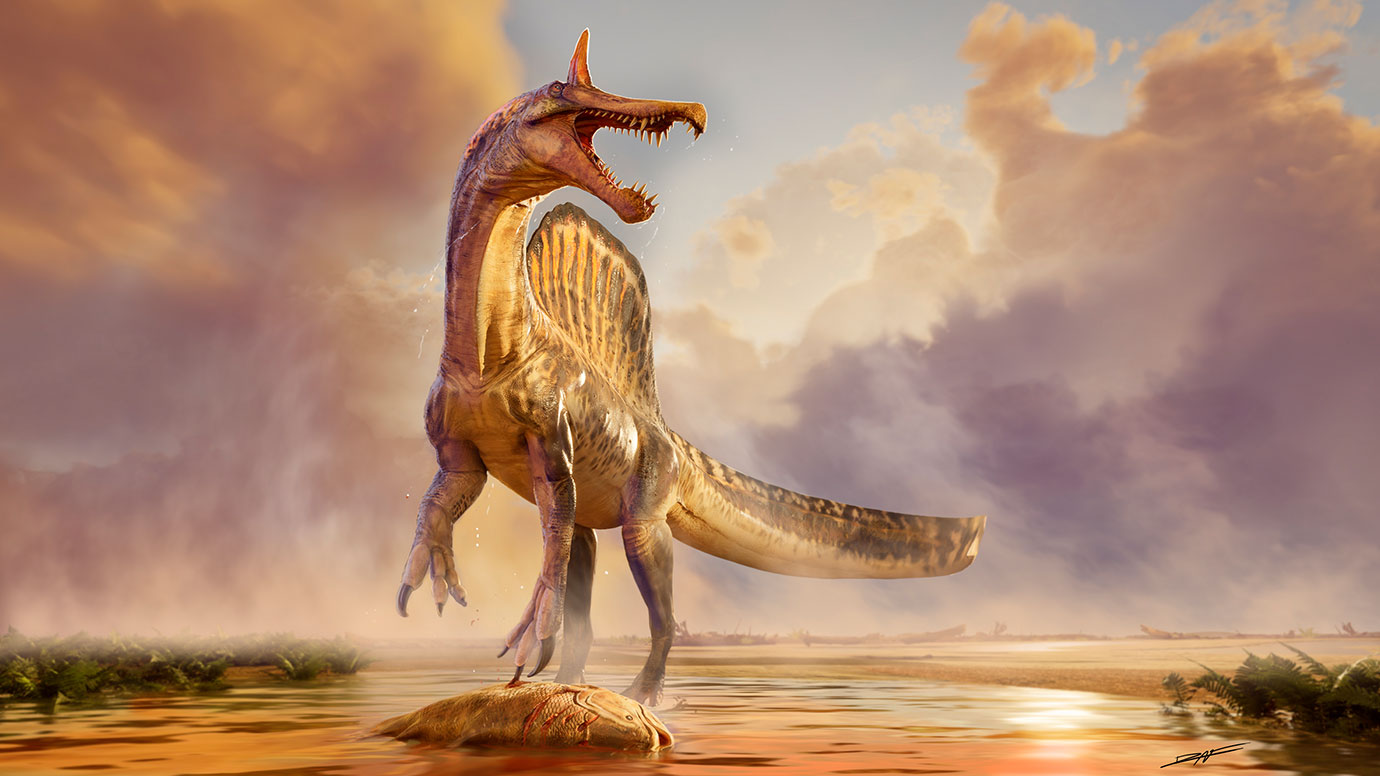 ‘Hell-heron’ dinosaur discovered in the central Sahara