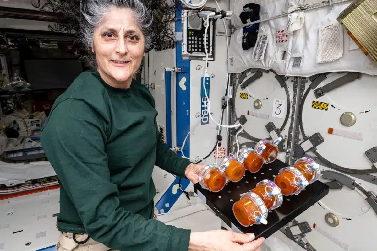 Suni Williams, Nasa Astronaut, Displays Bionutrients Production Packs On The Iss.