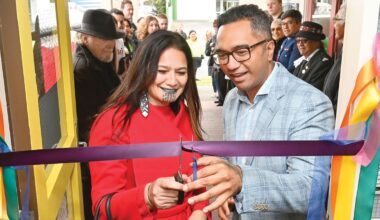 Waitangi 2026: Former Te Pāti Māori candidate to stand for Greens in 2026 general election