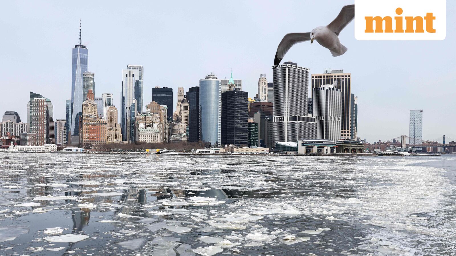 Climate change is costing the economy—whether climate-deniers admit it or not