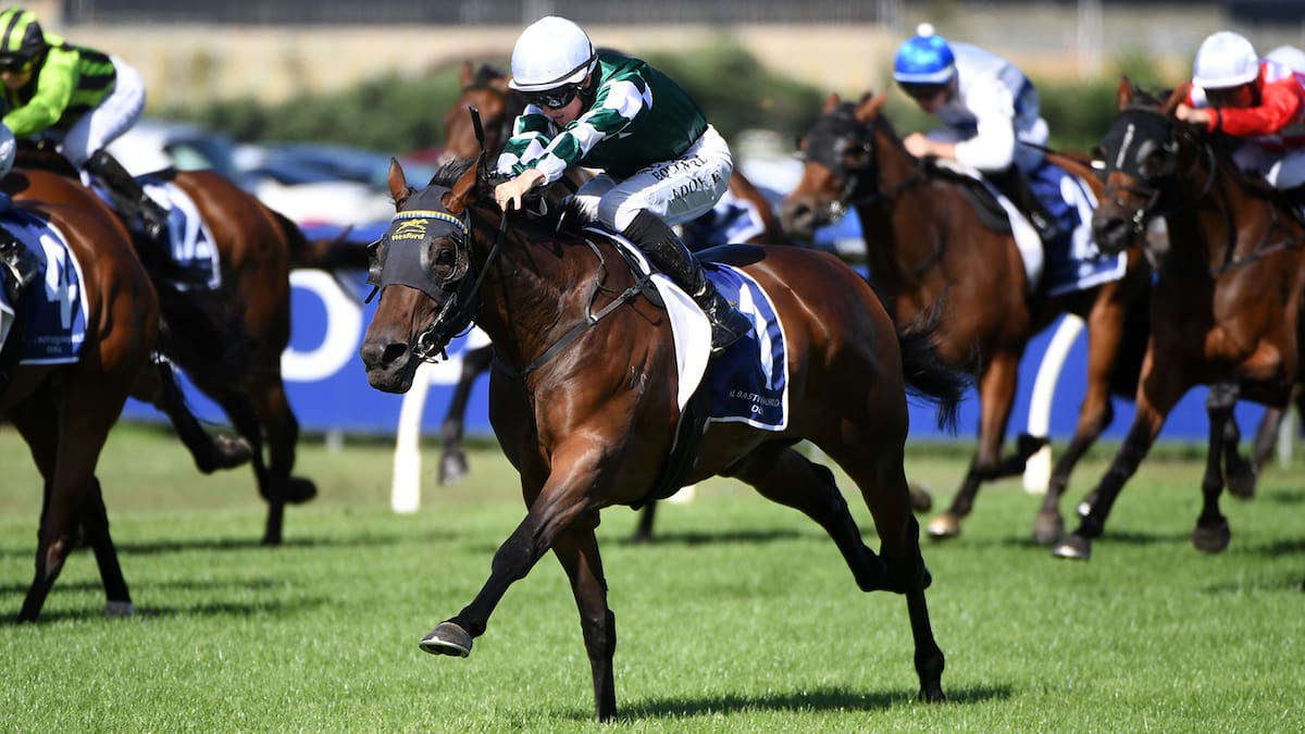Ohope Wins: Superstar staying filly to skip NZ Derby and join Chris Waller stable