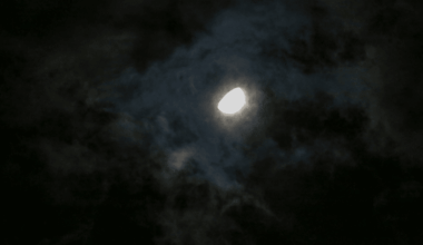 Tonight’s Sky The Moon Illuminates The Celestial Bull In A Stunning Display!