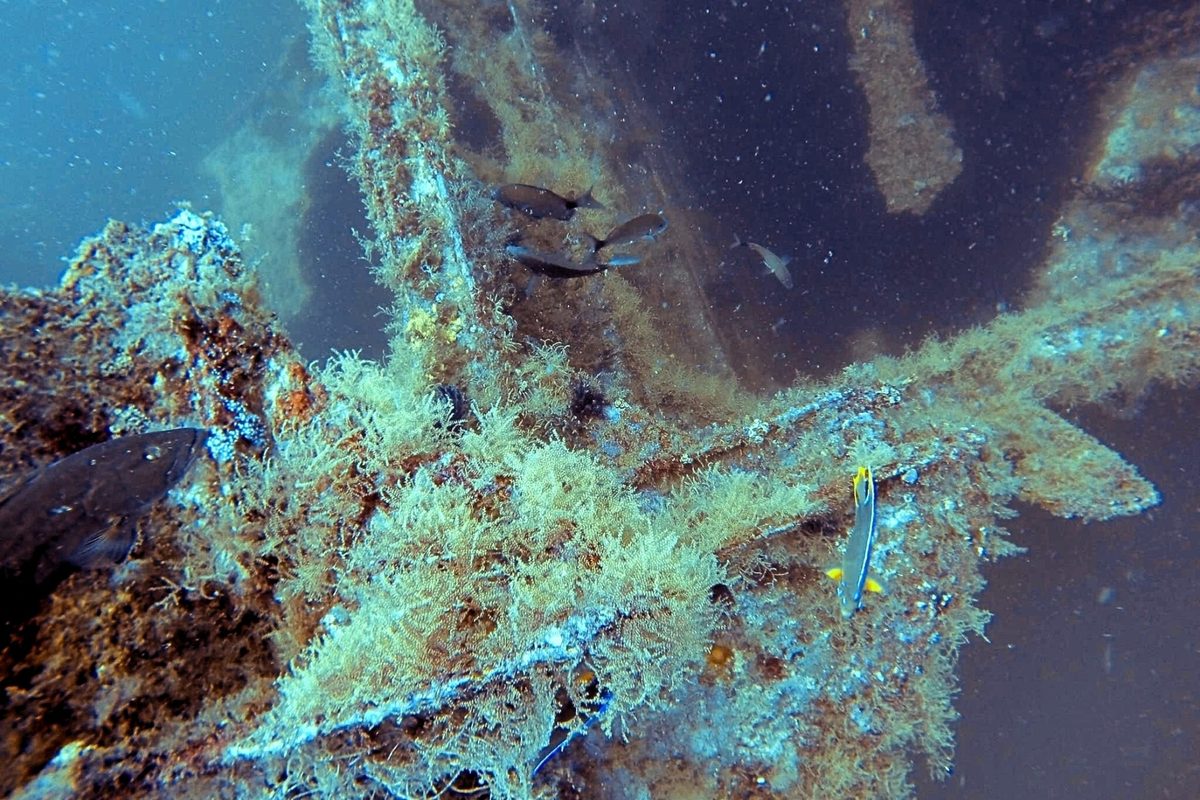 USS Aeolus shipwreck