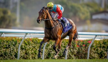 Horse racing: Two records in one remarkable race for champion Kiwi galloper