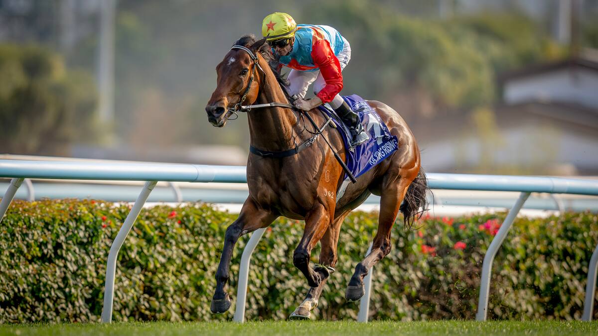 Horse racing: Two records in one remarkable race for champion Kiwi galloper