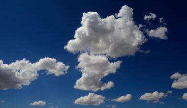 Herald morning quiz: February 3