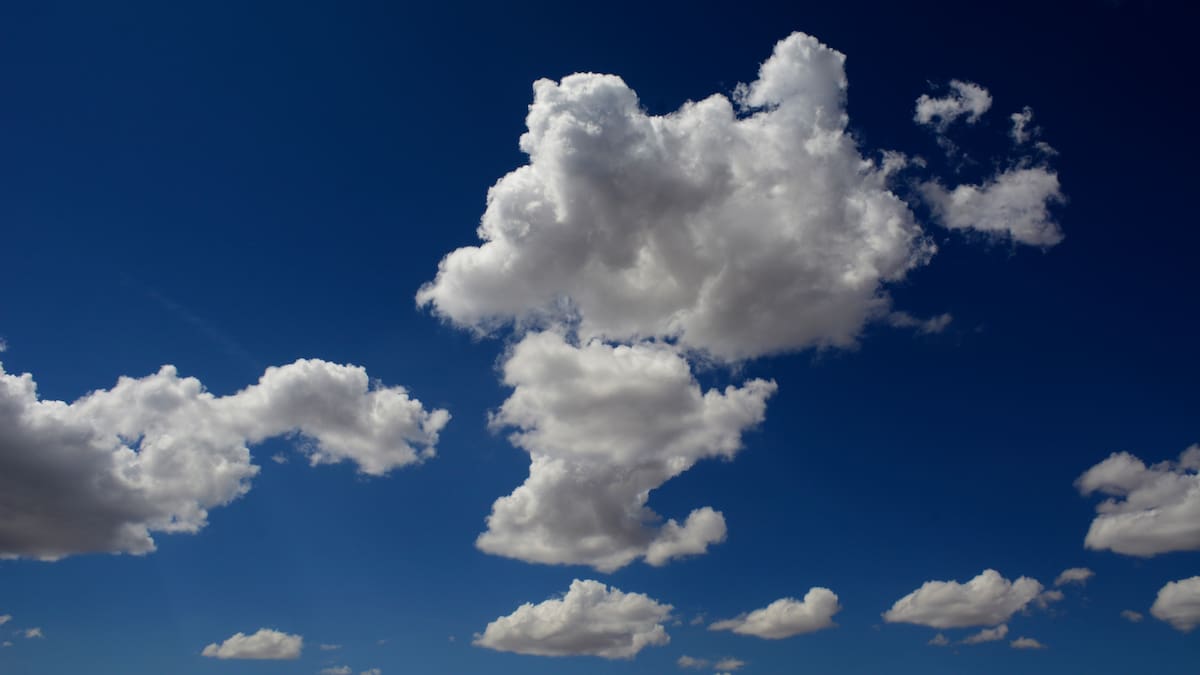 Herald morning quiz: February 3