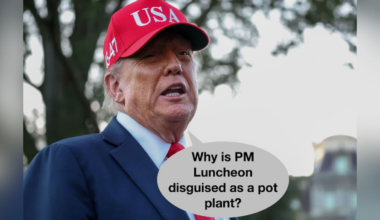 Greg Dixon’s Another Kind of Politics: Luxon’s secret plan for handling “Mad Dog” Trump leaked