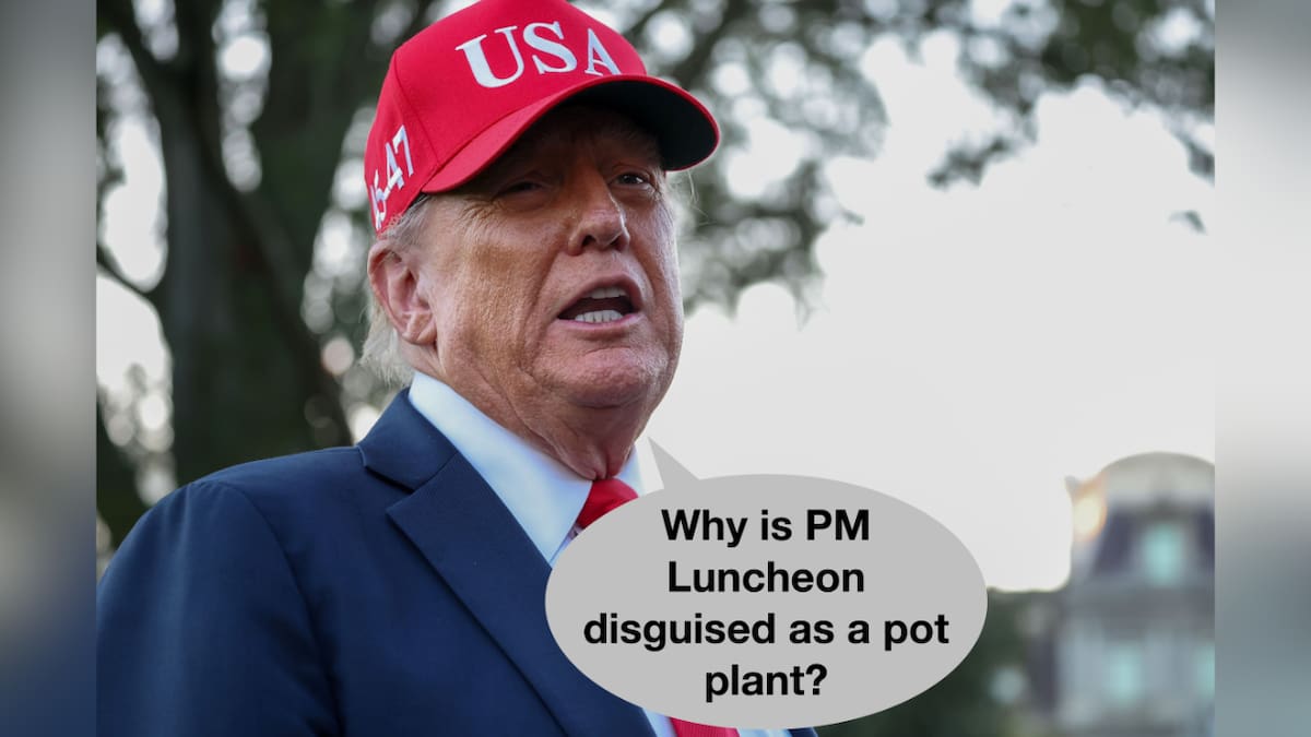 Greg Dixon’s Another Kind of Politics: Luxon’s secret plan for handling “Mad Dog” Trump leaked