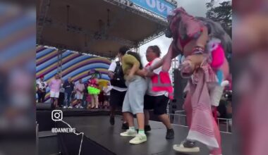 Big Gay Out protester removed after storming stage towards MPs in Auckland