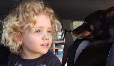 Gus Lamont: Parents of missing 4-year-old issue new photos and statement asking for public assistance