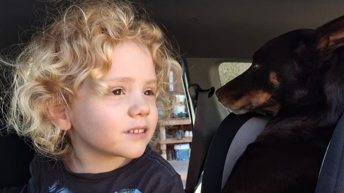 Gus Lamont: Parents of missing 4-year-old issue new photos and statement asking for public assistance