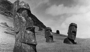 Herald morning quiz: February 15