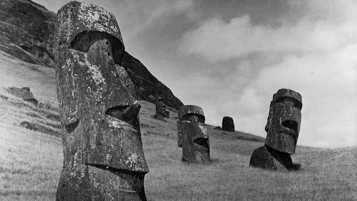 Herald morning quiz: February 15