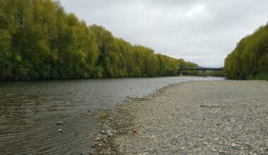 Hutt River chase: Man arrested after jumping into river to flee police
