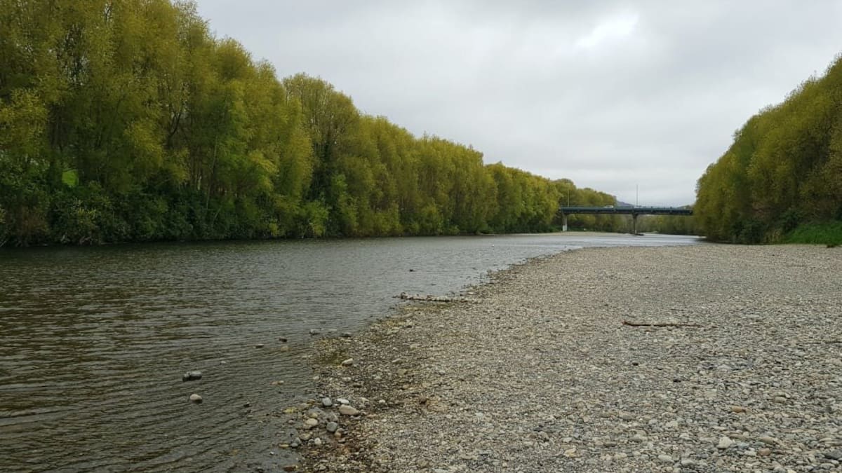 Hutt River chase: Man arrested after jumping into river to flee police