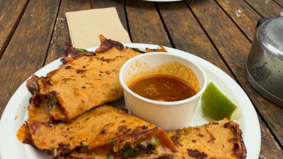 Laneway festival illness reports: Sheppards NZ says its food is not to blame