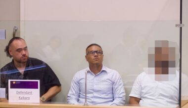 Trio sentenced after failed North Shore toy-store burglary leads to a 180km/h chase