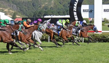 Horse racing: Shock result for punters as girl power rules in Wellington Cup