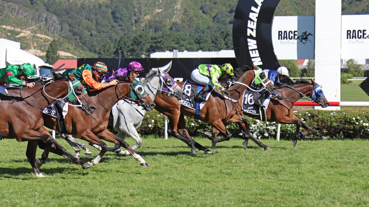 Horse racing: Shock result for punters as girl power rules in Wellington Cup