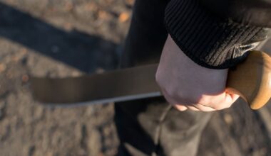 Tenant wins $5000 payout after Kāinga Ora fails to act over machete threats