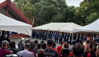 Carbon price volatility hits Treaty forests