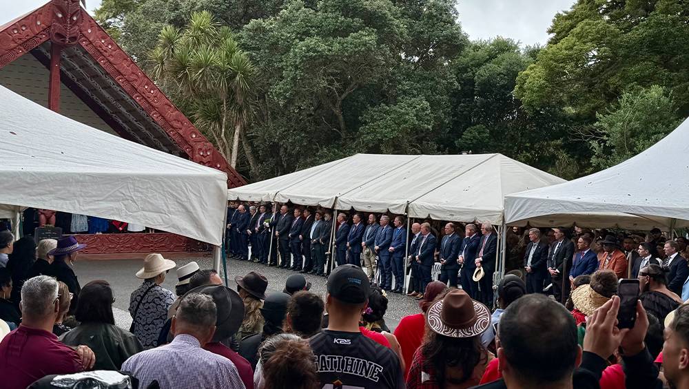 Carbon price volatility hits Treaty forests