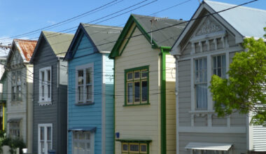 Housing sales volumes and prices both declined in January - REINZ