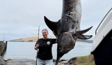 Northland angler hooks 279kg swordfish and pending women’s record