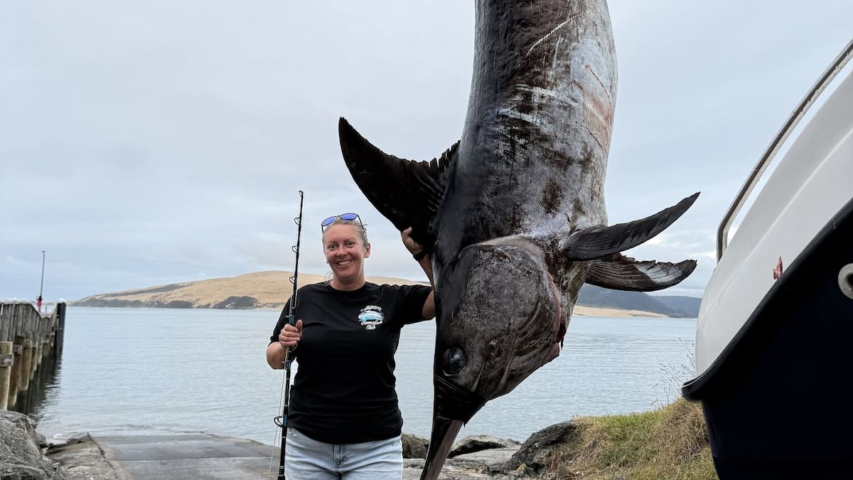 Northland angler hooks 279kg swordfish and pending women’s record