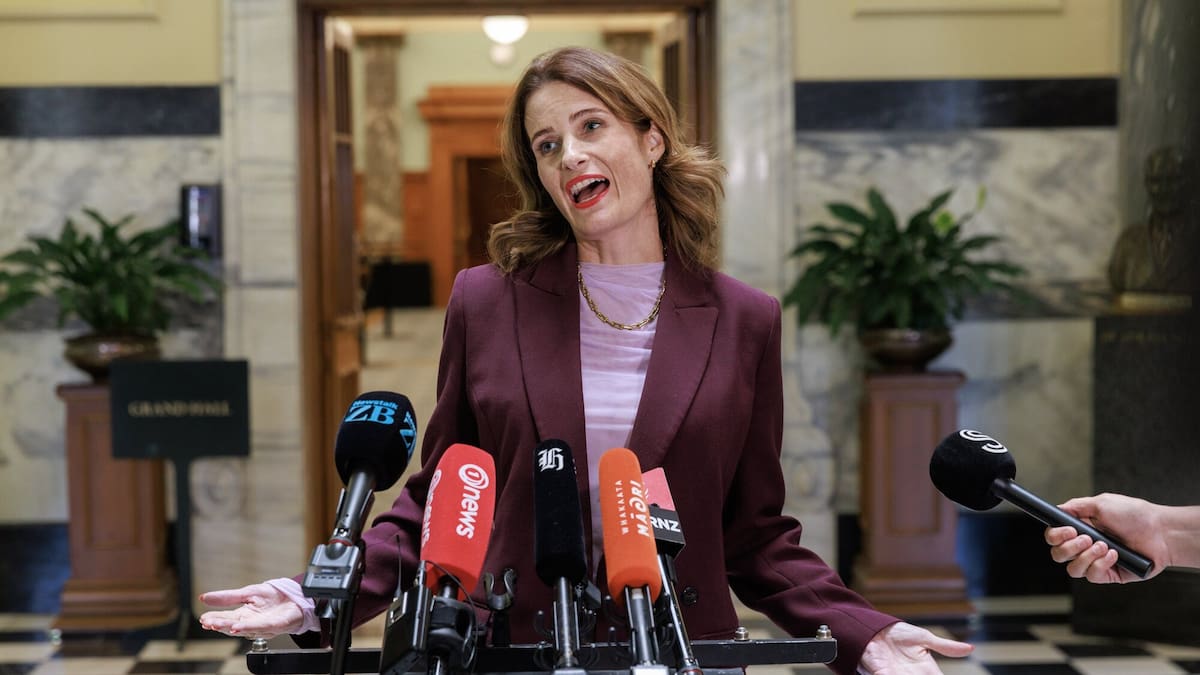 Government celebrates as an electricity price falls – is it because of the new LNG terminal?